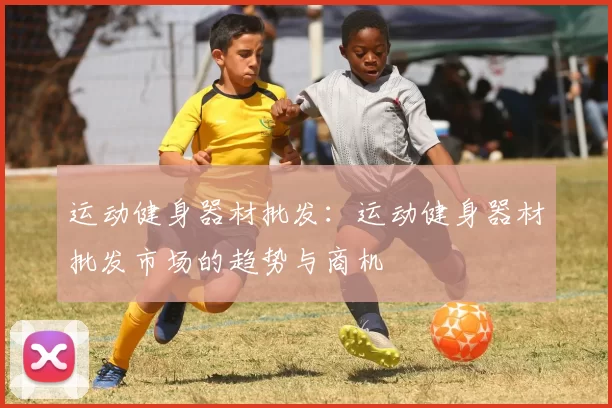 运动健身器材批发：运动健身器材批发市场的趋势与商机