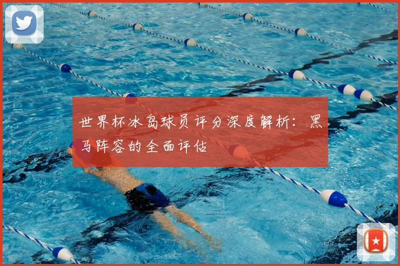 世界杯冰岛球员评分深度解析：黑马阵容的全面评估