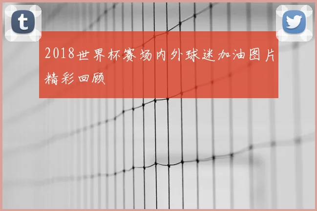 2018世界杯赛场内外球迷加油图片精彩回顾
