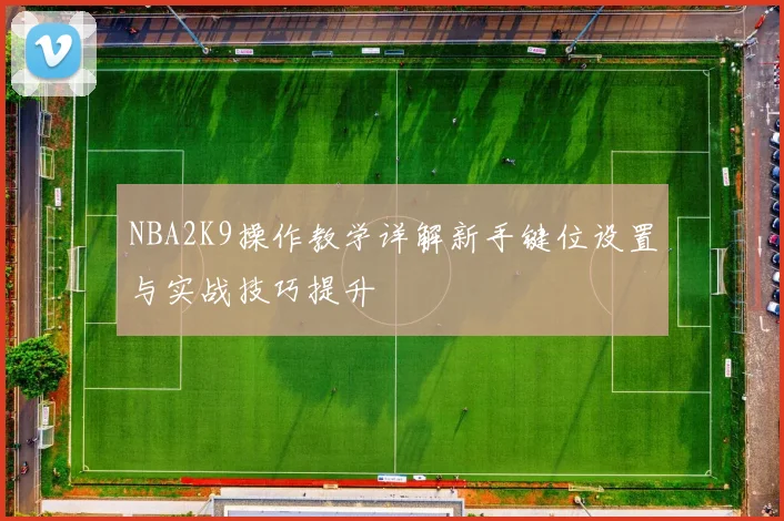 NBA2K9操作教学详解新手键位设置与实战技巧提升