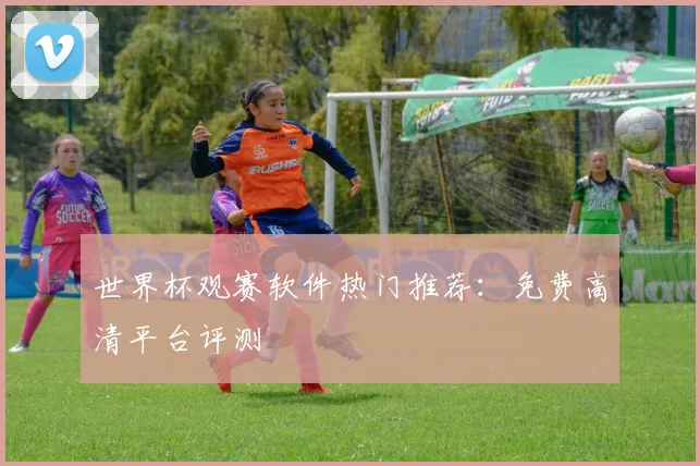 世界杯观赛软件热门推荐：免费高清平台评测