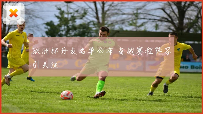 欧洲杯丹麦名单公布 备战赛程阵容引关注