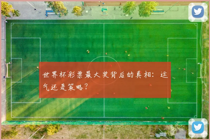 世界杯彩票最大奖背后的真相：运气还是策略？