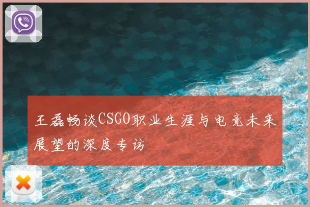王磊畅谈CSGO职业生涯与电竞未来展望的深度专访