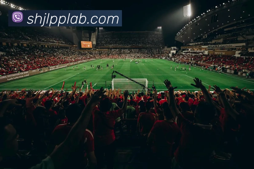 华体会手机网页版发展历程