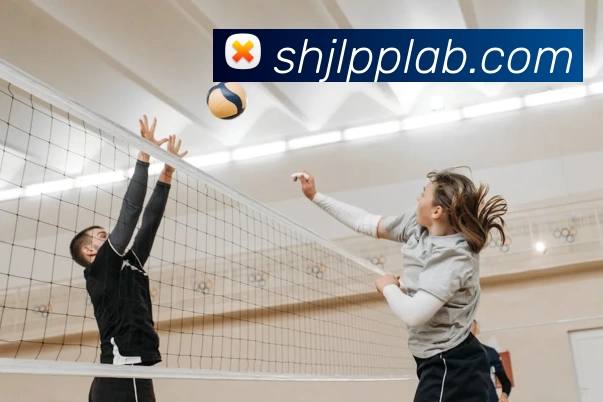 2017赛季CBA常规赛回放：球队战术演变与关键球员表现分析